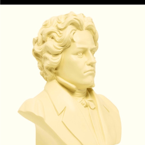 The tortured musician - Picture 1 of 5